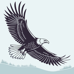 Fototapeta premium Flying Eagle Silhouette – Isolated Black Vector Illustration