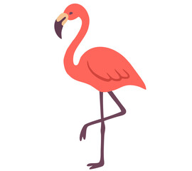 Immagine vettoriale fenicottero rosa cigno, estiva disegno vettoriale