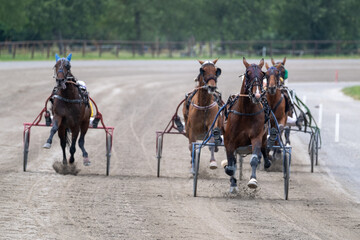 Modena, Italy – 05 18 2025: Racing horses trots and rider on a track of stadium. Competitions for trotting horse racing. Horses compete in harness racing. Horse runing at the track with rider.
