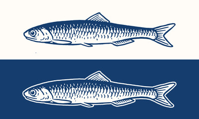 Anchovy Fish Illustration