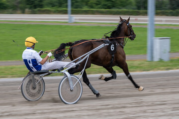Modena, Italy – 05 18 2025: Racing horses trots and rider on a track of stadium. Competitions for trotting horse racing. Horses compete in harness racing. Horse runing at the track with rider.

