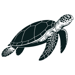 sea turtle vector illustration