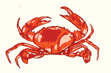Vibrant Red Crab Illustration