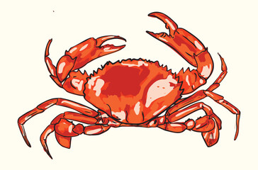 Red Crab Illustration