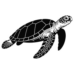 turtle vector illustration