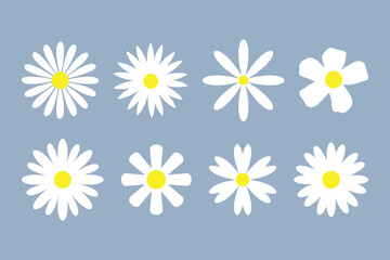 Abstract Groovy Daisy Flowers Set, Chamomile White Yellow Icon Flat Design Collection , Chamomile Daisy  Set,  Abstract Daisy Chamomile  Flowers, Abstract Minimal Daisy Elements.