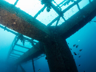 underwater image of a sunken structure in the sea colonized by marine life, concept of diving and...