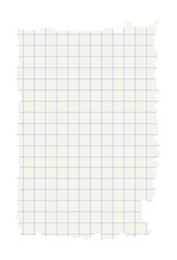 White torn or ripped notebook sheet in blue square. Album edge, notebook tear or blank page divided vector illustration. Abstract social media banner background.