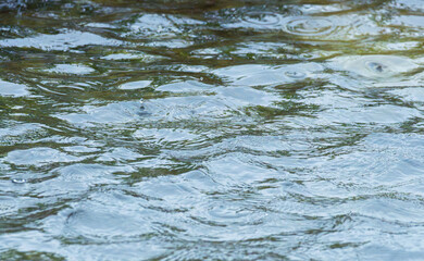 梅雨の季節　川の水面に雨が降る42