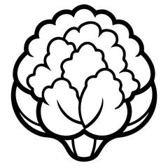 Fototapeta premium vector illustration of a cauliflower 