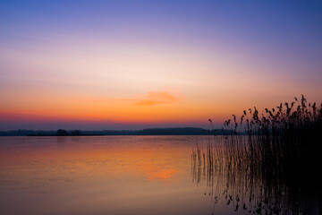 lake, sunrise, soft light, pastel colors, golden hour, before sunrise, no sun, water reflections, reed, silhouette, horizon