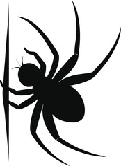 vector silhouette of a spider