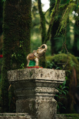 Templo budista en el bosque de Tailandia
