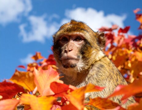 Im Herbst
