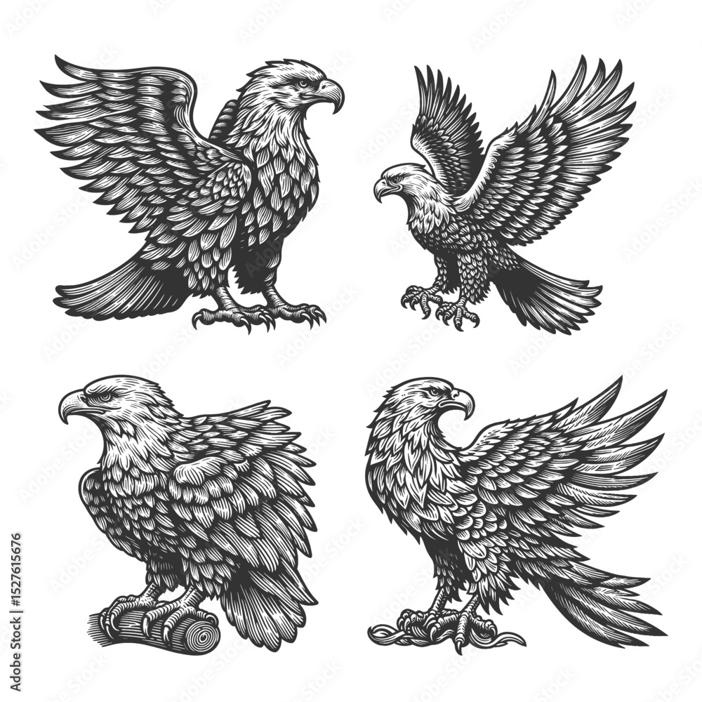 Poster eagle set collection bundle sketch engraving generative ai vector illustration. scratch board imitat