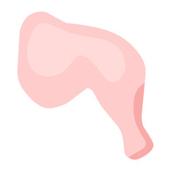 chicken meat illustration