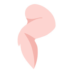 chicken meat illustration