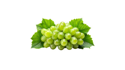 Ripe red grapes, fresh sweet bunch on white background.