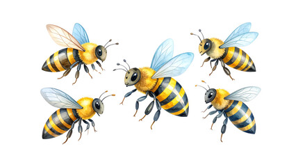 Cute bee illustration on white background.

