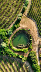 Scenic Tuscan Landscape with Olive Groves and Vineyards at Golden Hour – Idyllic Countryside in Italy