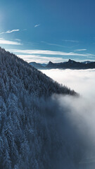 winter mountain landscape with snow, fog and cloud covered trees and skies
