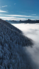 winter mountain landscape with snow, fog and cloud covered trees and skies