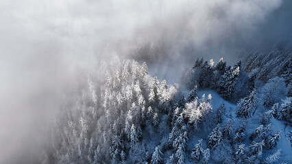 winter mountain landscape with snow, fog and cloud covered trees and skies