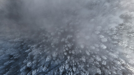 winter mountain landscape with snow, fog and cloud covered trees and skies