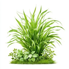 Fototapeta premium A lush clump of vibrant green grass and foliage thrives on a white backdrop.