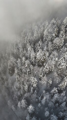 winter mountain landscape with snow, fog and cloud covered trees and skies