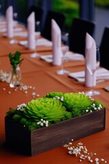 Elegant table setting with succulents