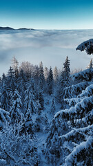 winter mountain landscape with snow, fog and cloud covered trees and skies