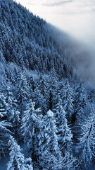 winter mountain landscape with snow, fog and cloud covered trees and skies