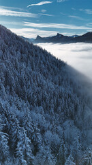 winter mountain landscape with snow, fog and cloud covered trees and skies