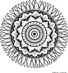 Ornate Flourishes & Calligraphy Embellishments vector