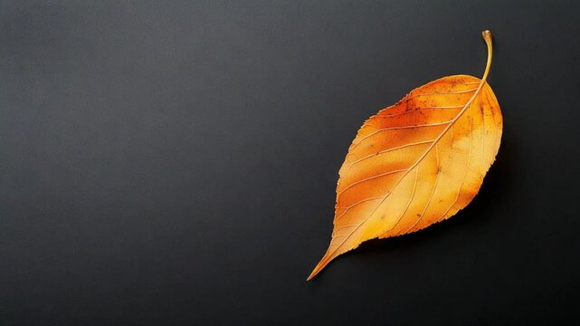 A vibrant orange leaf resting on a dark surface, showcasing autumn's beauty and tranquility