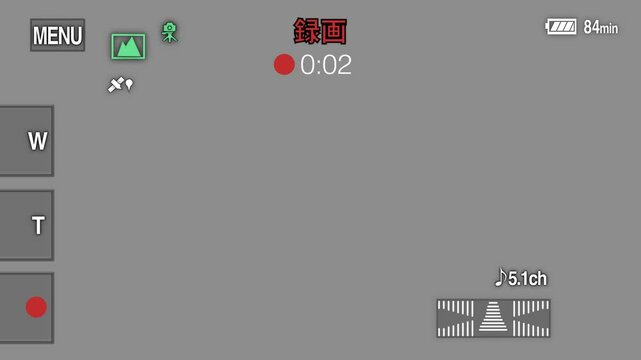 REC 録画中の画面 タイムコードつき SONY ハンディカム