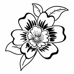 white flower isolated on black background