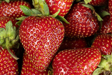 Ripe strawberries with seeds visible. Macro view of fresh red berries.