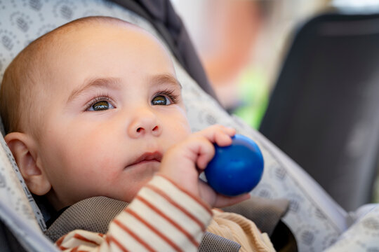 Naklejki Baby holding a toy while sitting in a stroller