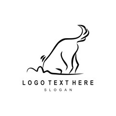 dog digging the ground