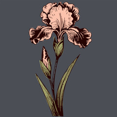 Beautiful illustration of flower with delicate petals and green leaves, showcasing elegance and nature artistry
