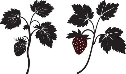 Strawberry Plant Vector Illustration, Isolated on White Background