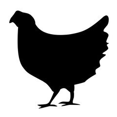 chicken silhouette illustration