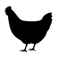 chicken silhouette illustration