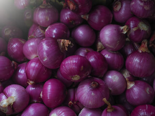 Fresh vegetables sold wholesale at cheap prices in the market
