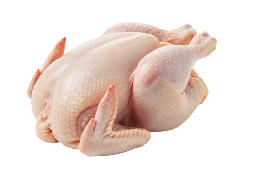 Isolated Whole Raw Chicken Ready for Cooking