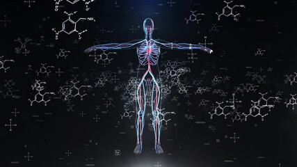 Human Anatomy Visualization with Veins, Arteries, and Chemical Formulas on Dark Background - Powered by Adobe