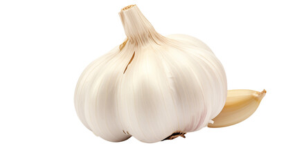 A whole garlic bulb and a single clove on a transparent background