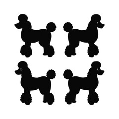 Flat design poodle silhouette set